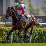 Ka Ying Rising Tops First 2026 World’s Best Racehorse Rankings, Forever Young Third